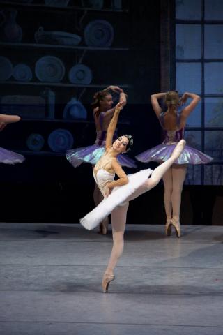 A dancer in the world-famous Moscow Festival Ballet